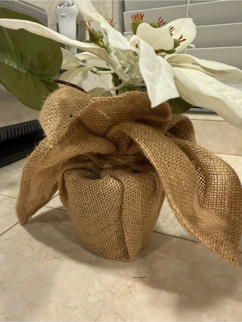 Pottery Barn White Poinsettia Burlap Pair